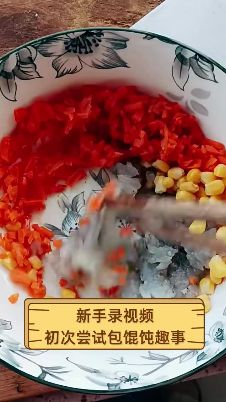 新手录视频,初次尝试包馄饨趣事