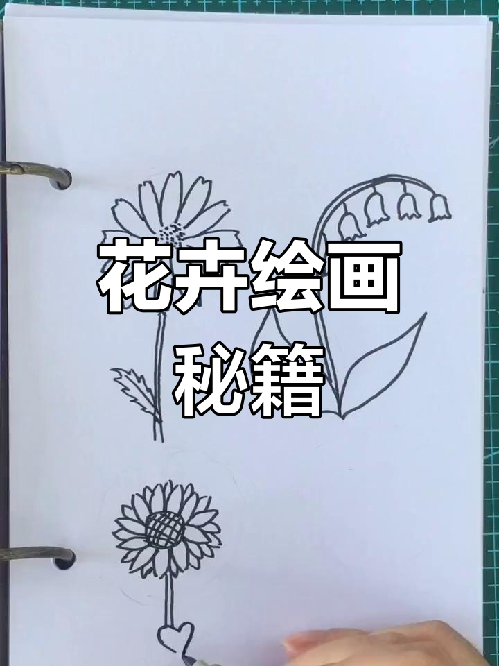 花卉简笔画大全,技巧全分享!