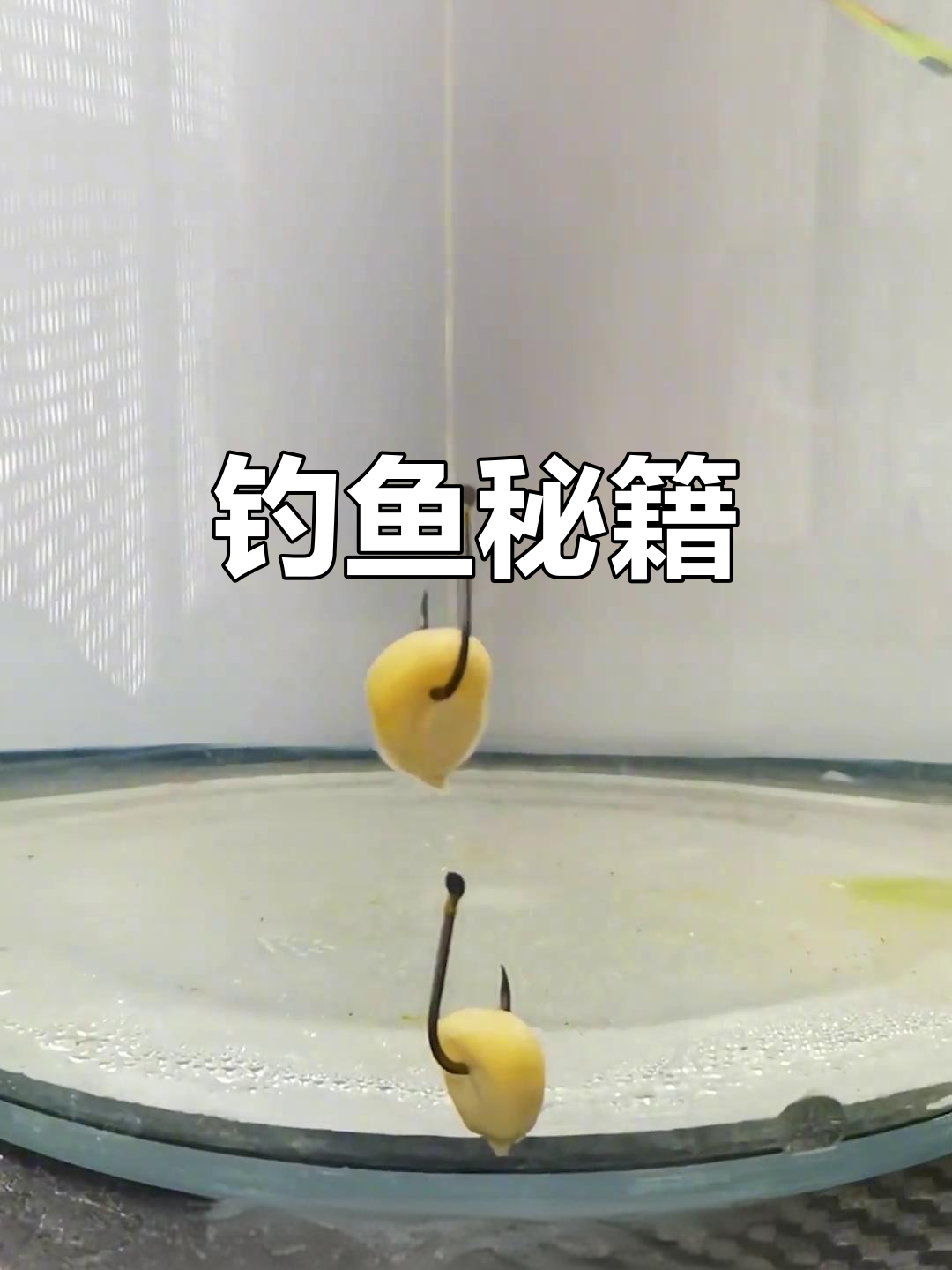 夜钓技巧:调漂与饵料搭配,轻松应对大鱼上钩