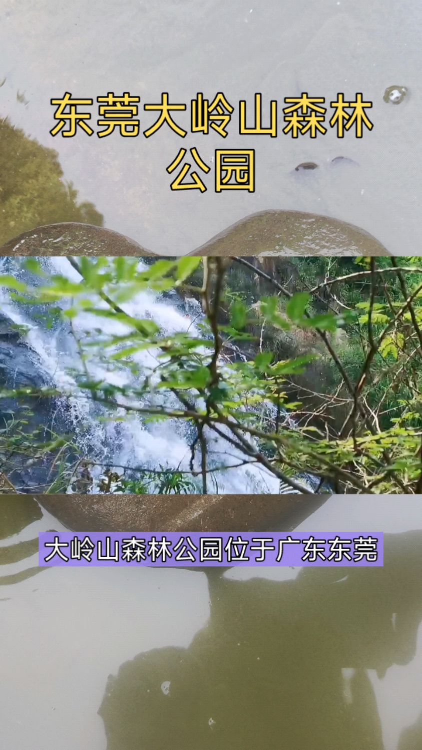 东莞大岭山公园