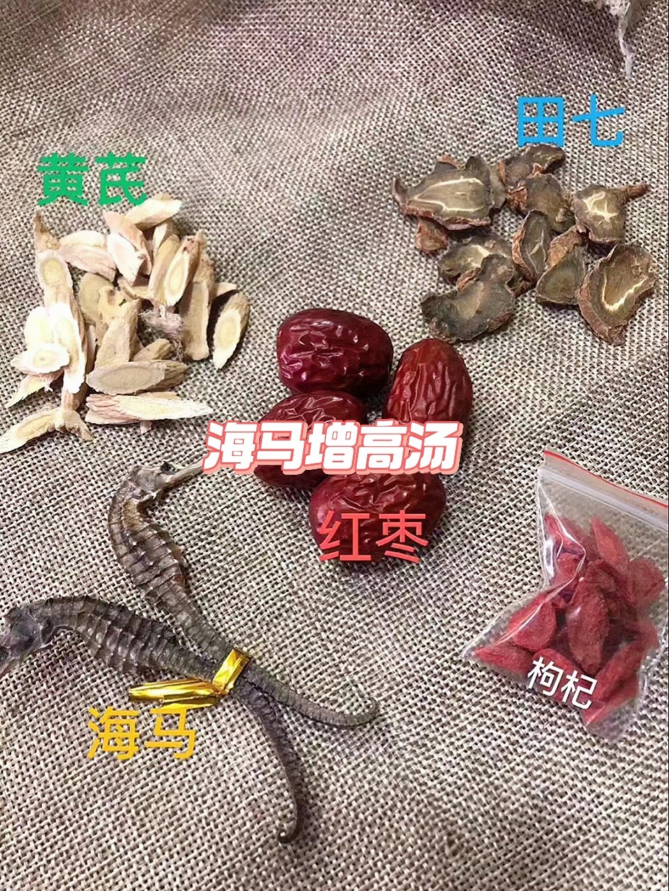 田七海马增高汤