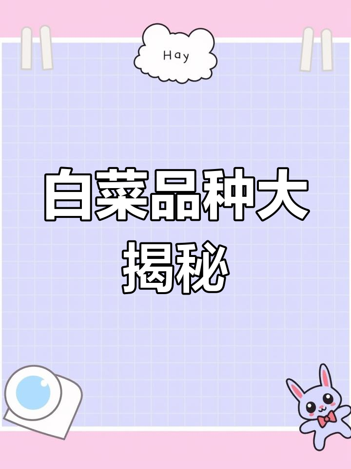 白菜种类繁多,南北方差异明显