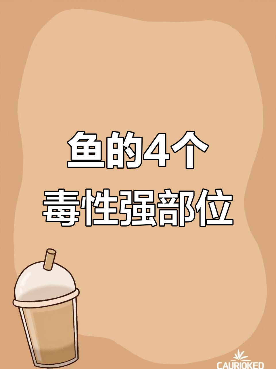 鱼胆、鱼头这些部位毒素最强,处理不当可能致命