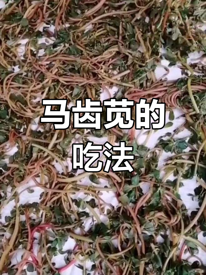 农村常见马蛇菜,蒸干保存冬季食用