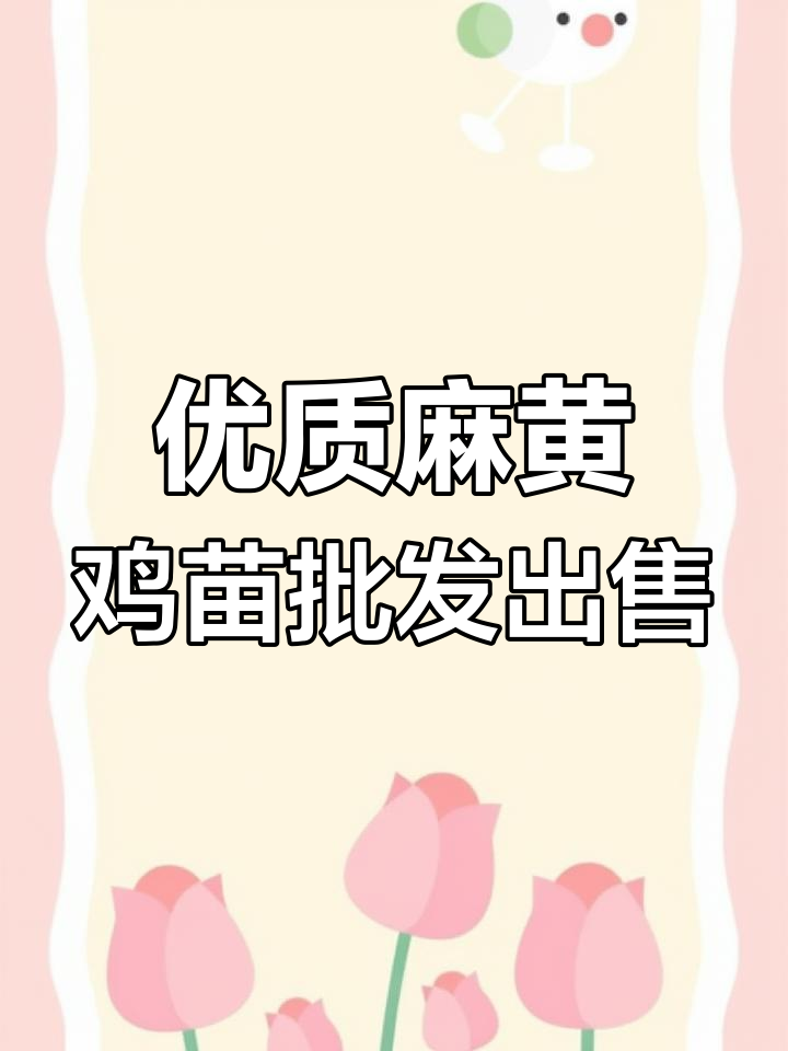 麻黄鸡苗批发,8000只发往宁波,抗病力强好养活