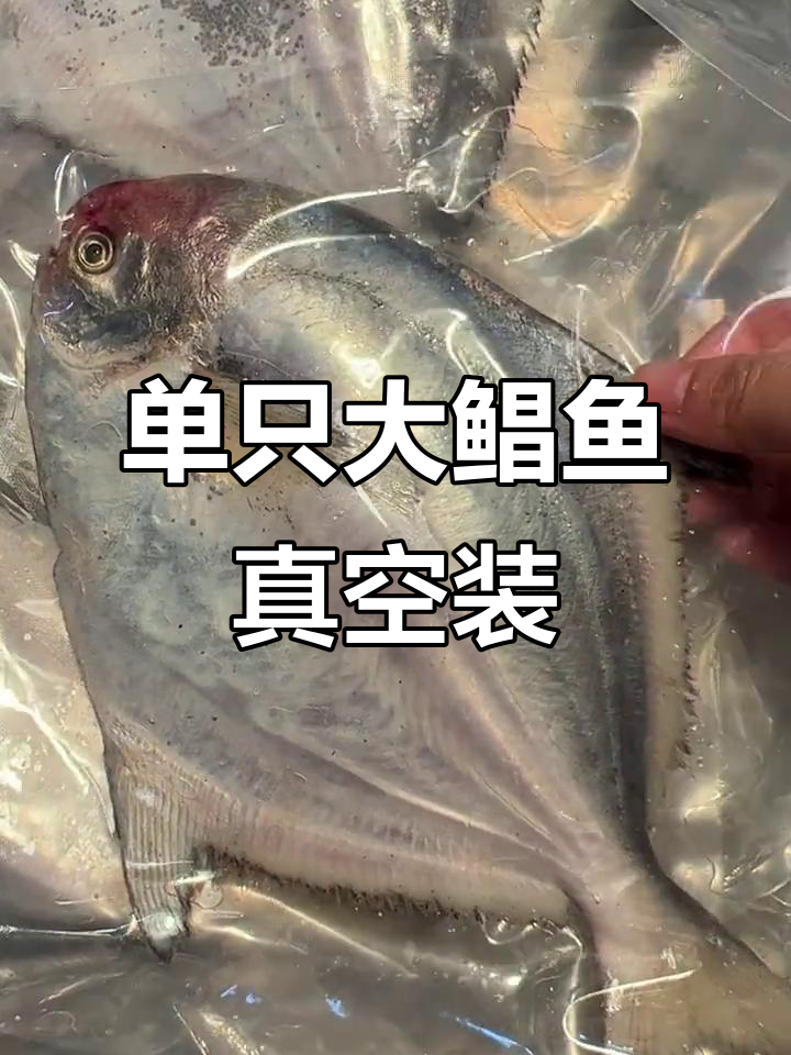 大鲳鱼单只真空包装,新鲜又方便