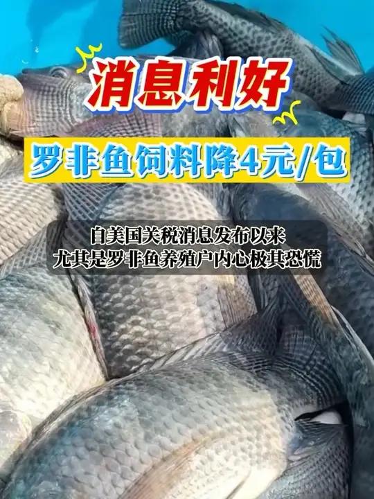 为缓解养殖户压力,饲料企业率先行动:海南和茂名地区有2家饲料厂家对多款罗非鱼料让利,助力养