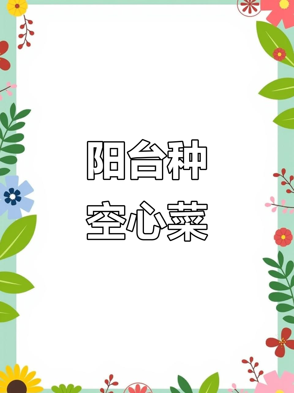 阳台种菜小技巧,空心菜苗轻松种植