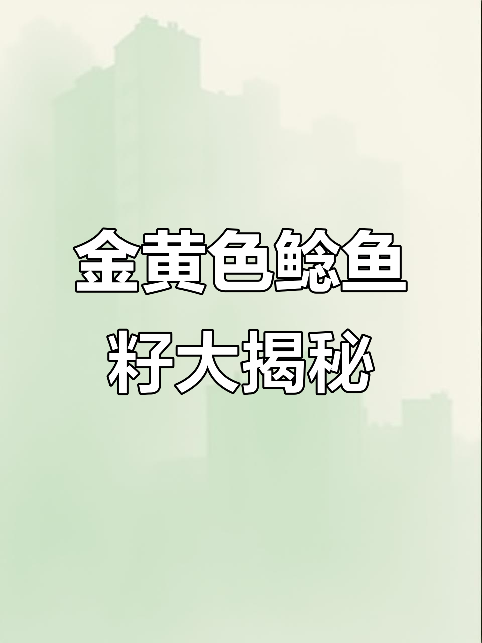巨型鲶鱼肚内藏满金黄籽,刀工师傅小心翼翼揭开惊喜