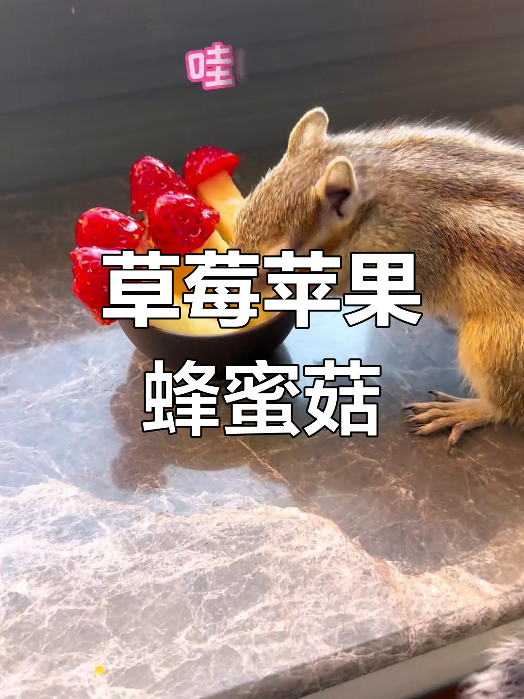 小可爱们快来尝尝草莓苹果蜂蜜蘑菇,超萌拼盘来啦!