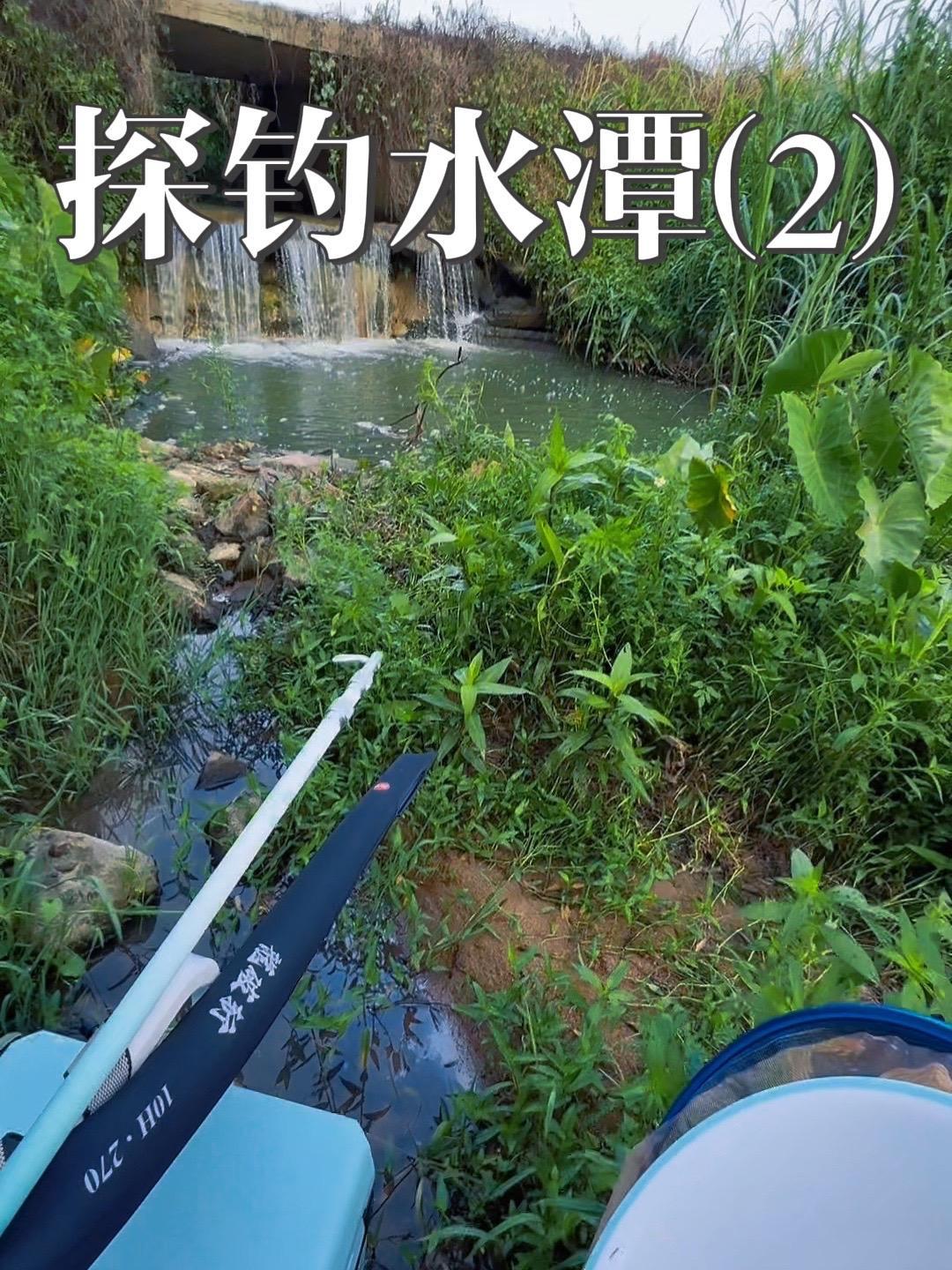 还是小河钩给力啊,时不时还有惊喜来一下!钓鱼人 钓鱼人就是这么疯狂 光威鱼竿