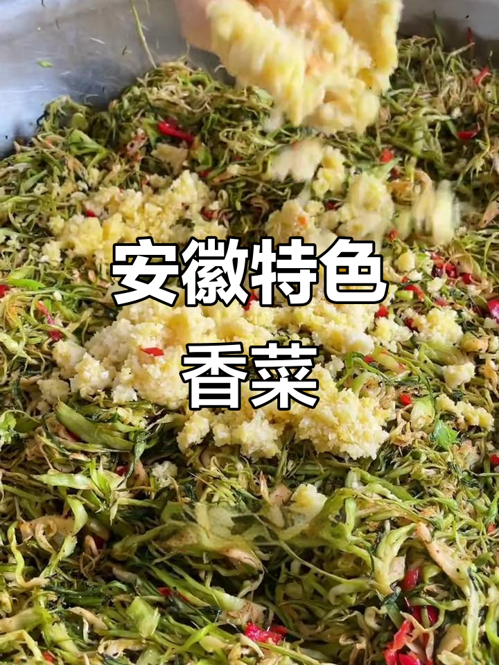 安徽芜湖特产香菜，口感脆嫩鲜香，绝对下饭！