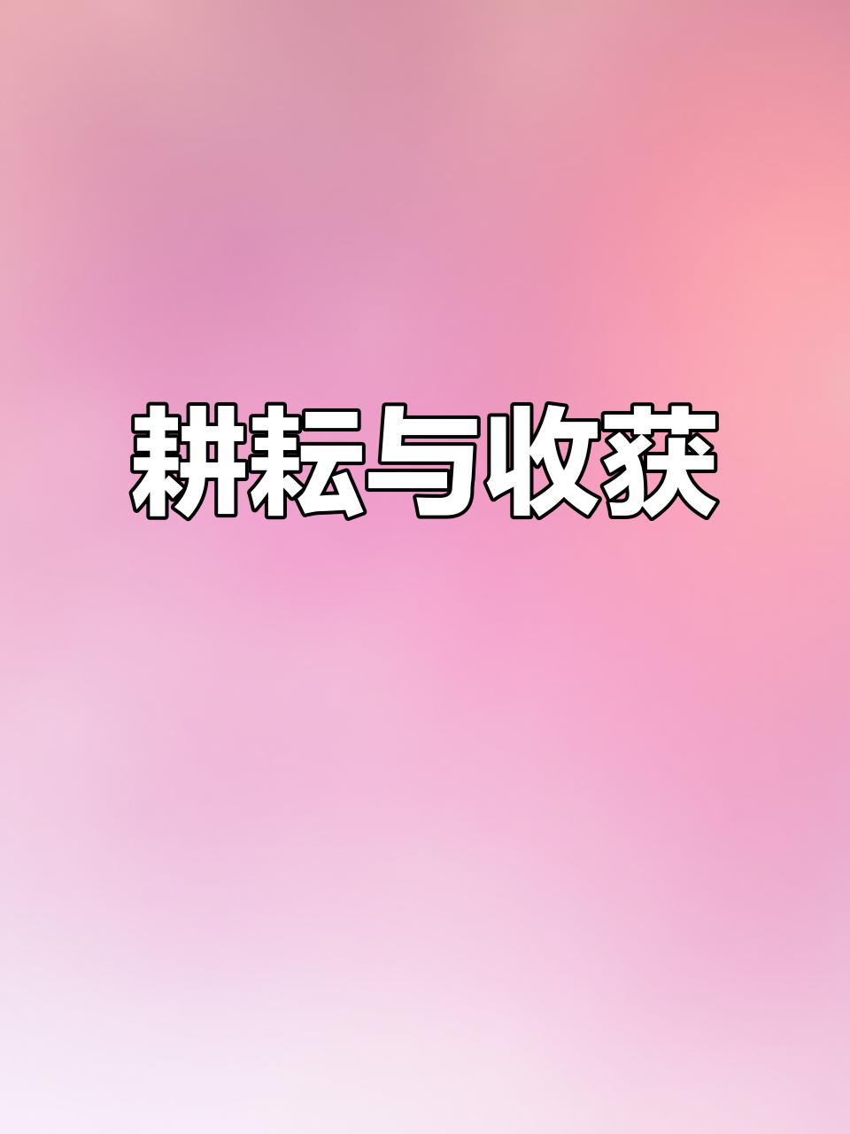小白兔种菜,收获的不仅是白菜,更是努力与坚持