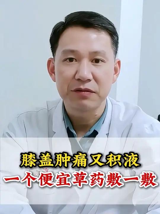 膝盖肿痛又积液,一个便宜草药敷一敷