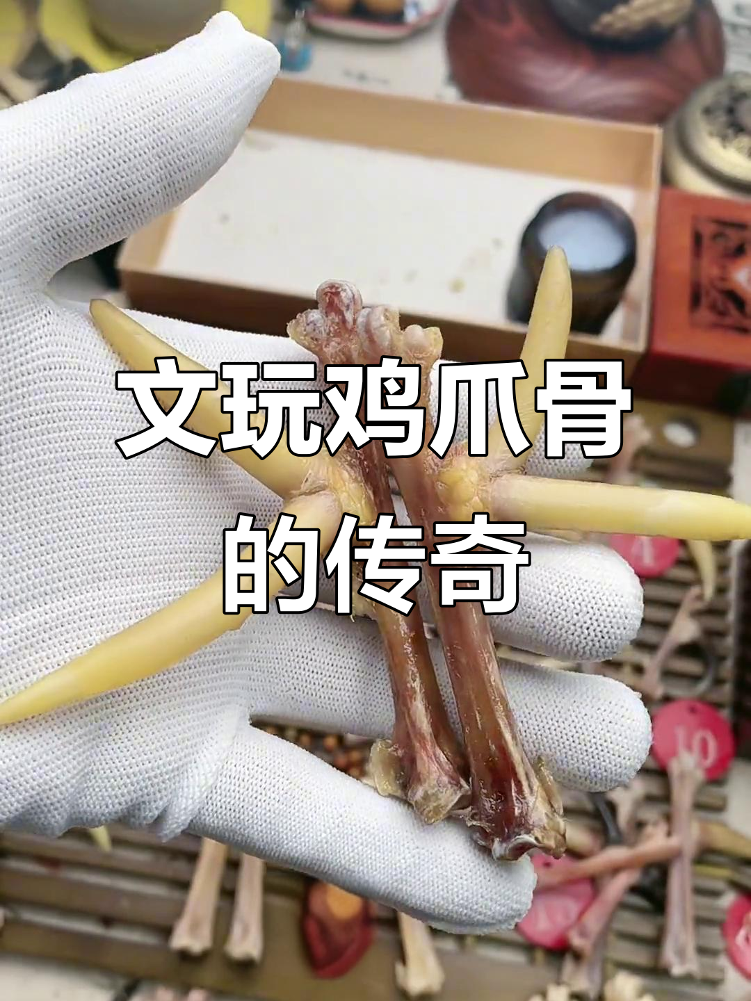 东北父亲拒绝六十万,鸡爪骨文玩藏品背后的故事