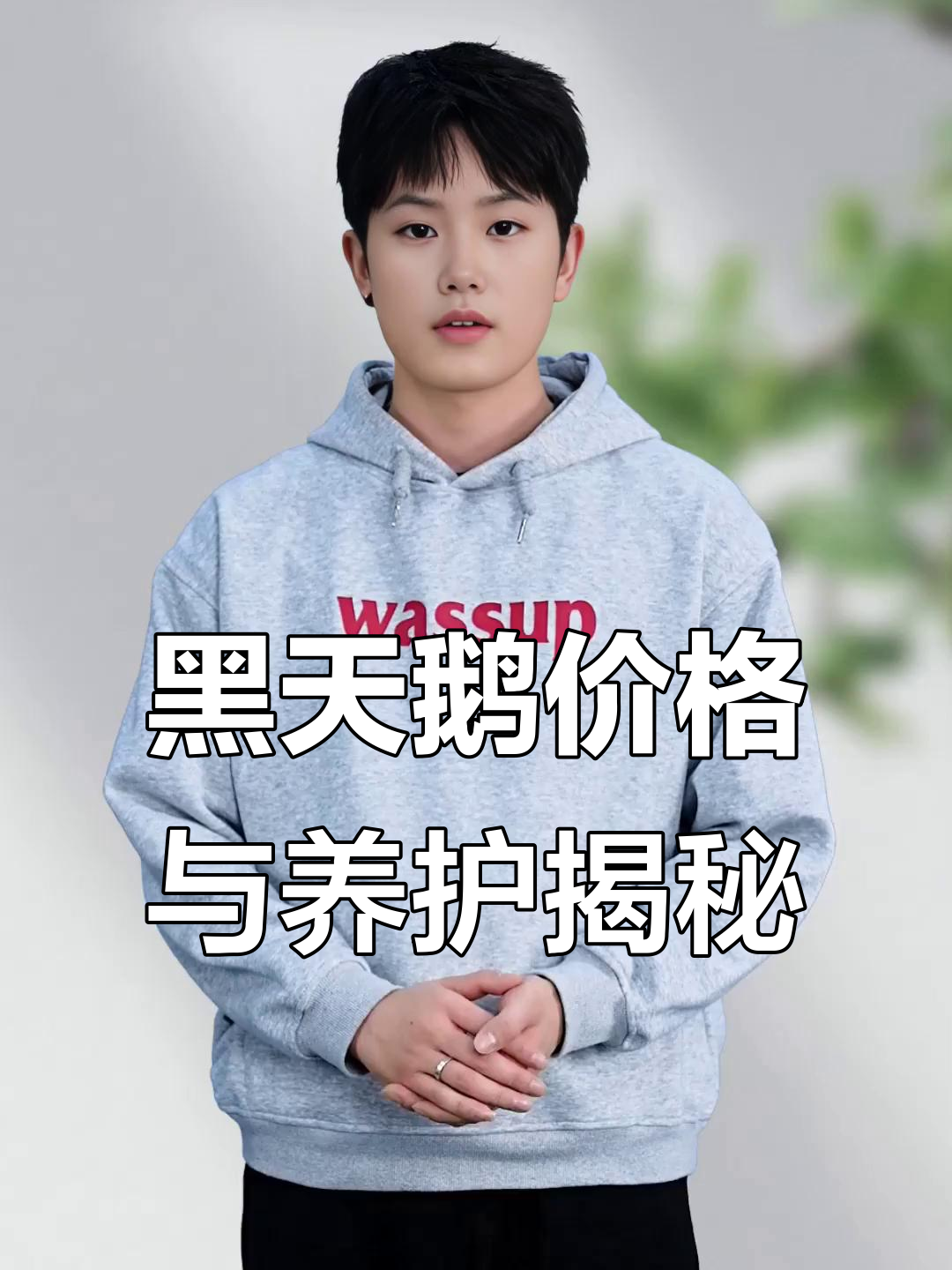 黑天鹅:性价比高,爱情象征的宠物选择