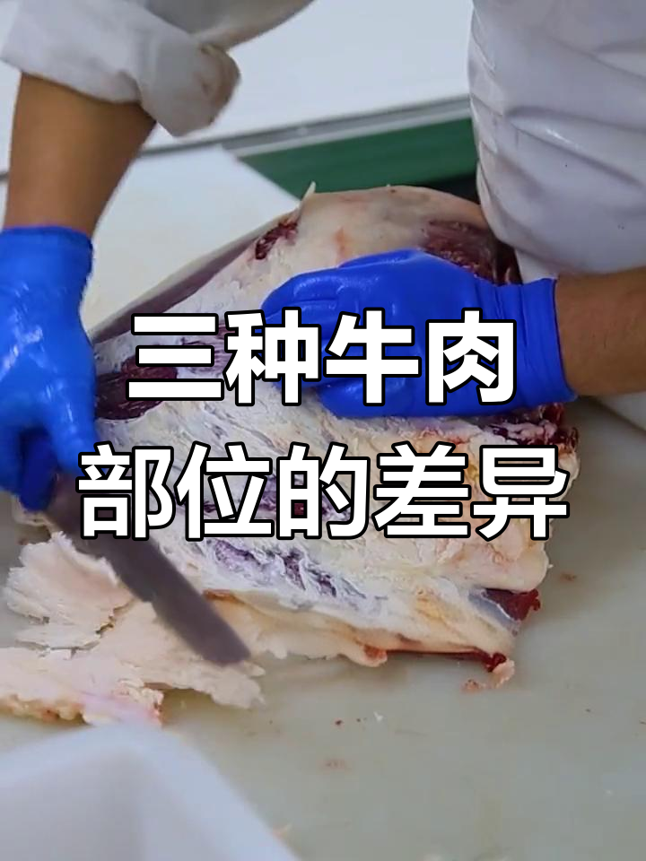 牛臀部位解析:针扒、烩扒与尾龙扒的区别