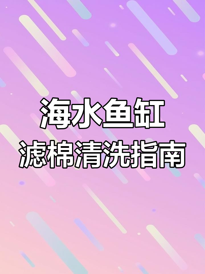 海水鱼缸过滤棉使用技巧:如何清洗以避免麻醉风险