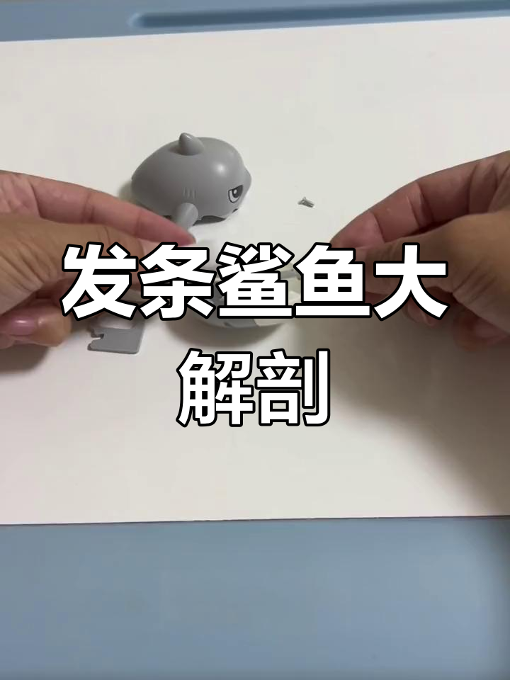 拆开发条鲨鱼,揭秘玩具内部结构