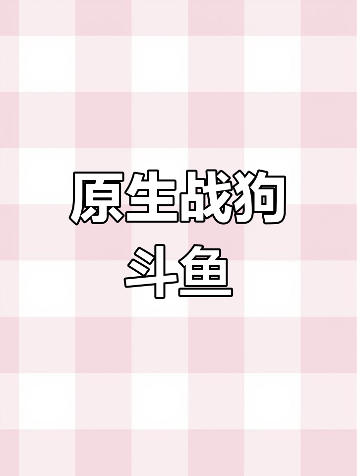 野生战狗斗鱼:独特魅力与生存挑战