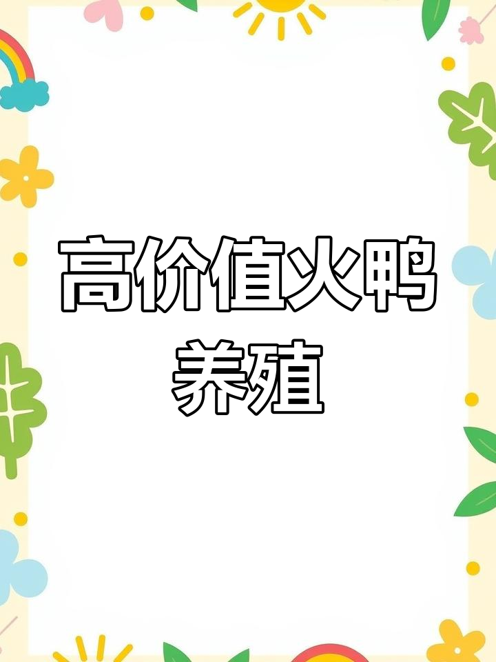 火鸭养殖:高蛋白低脂美味,售价可达300-500元/只
