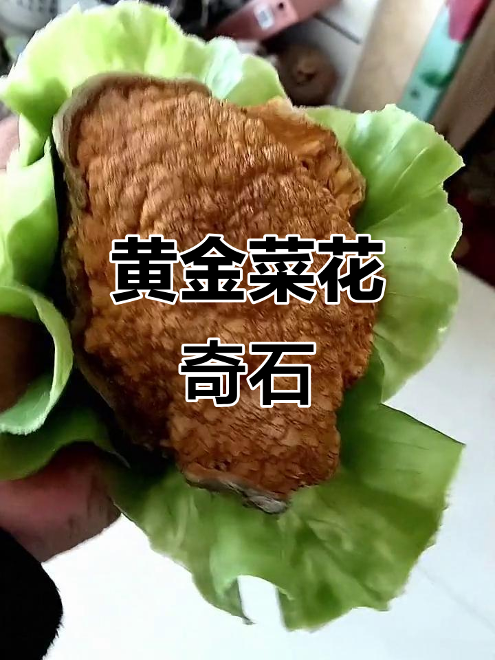 沙漠漆原石之美,黄金菜花展现奇形魅力