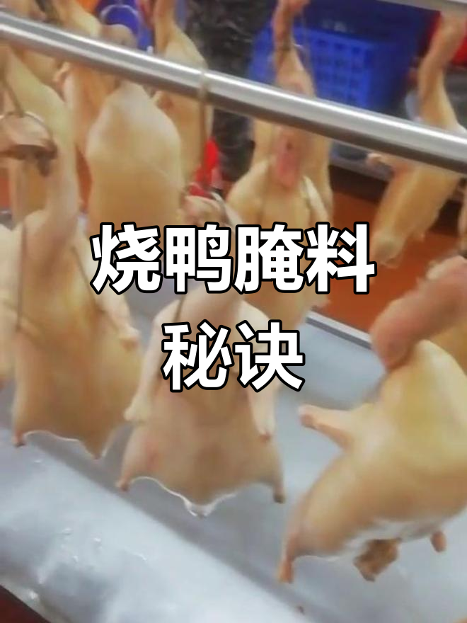 烧鸭湿料秘方,干湿搭配更入味!