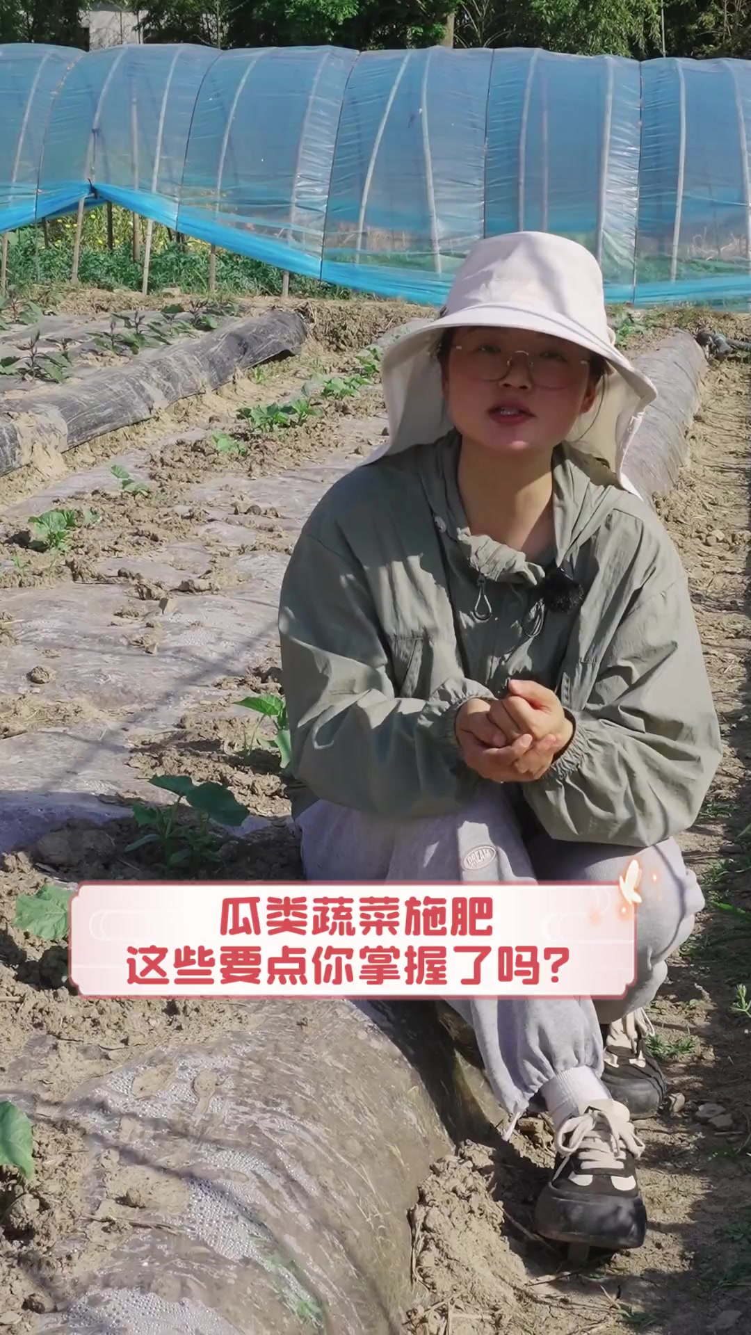 瓜类蔬菜施肥,这些要点你掌握了吗?