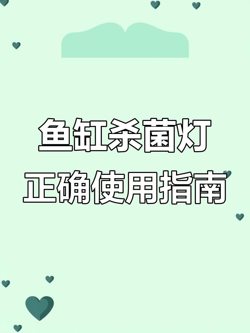 如何安装杀菌灯避免破坏鱼缸生态系统,水质清澈不生藻