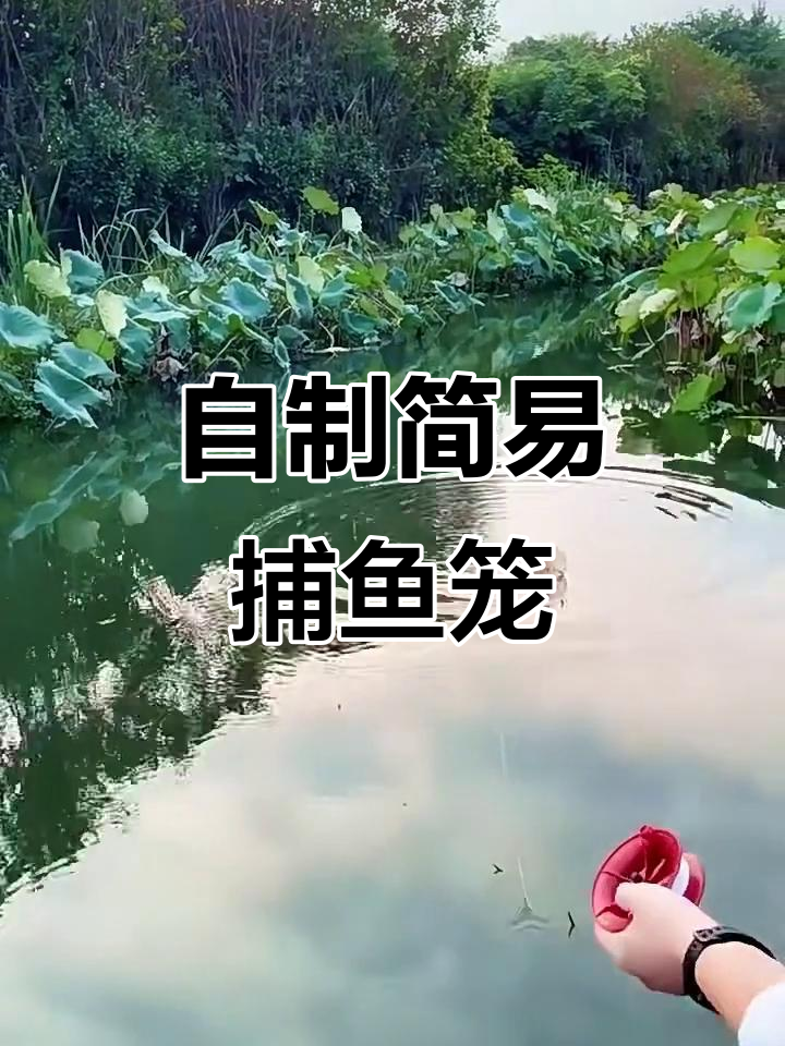 用废旧塑料瓶做捕鱼神器,简单又实用