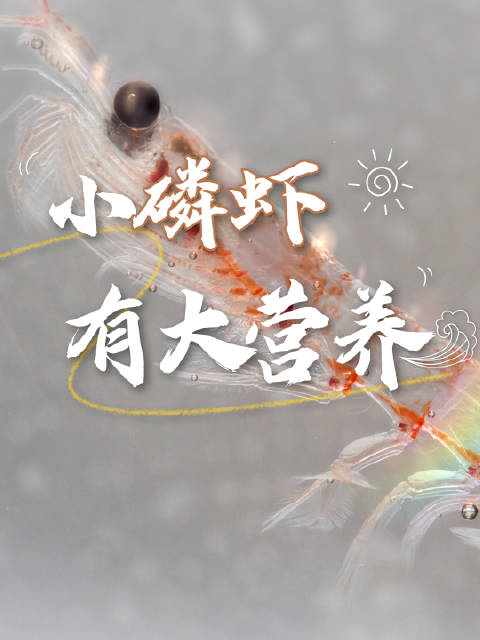 「不到2克的小生物50%都是蛋白质「惊哭」」南极磷虾是地球上生物量最多的动物,也是人类重要