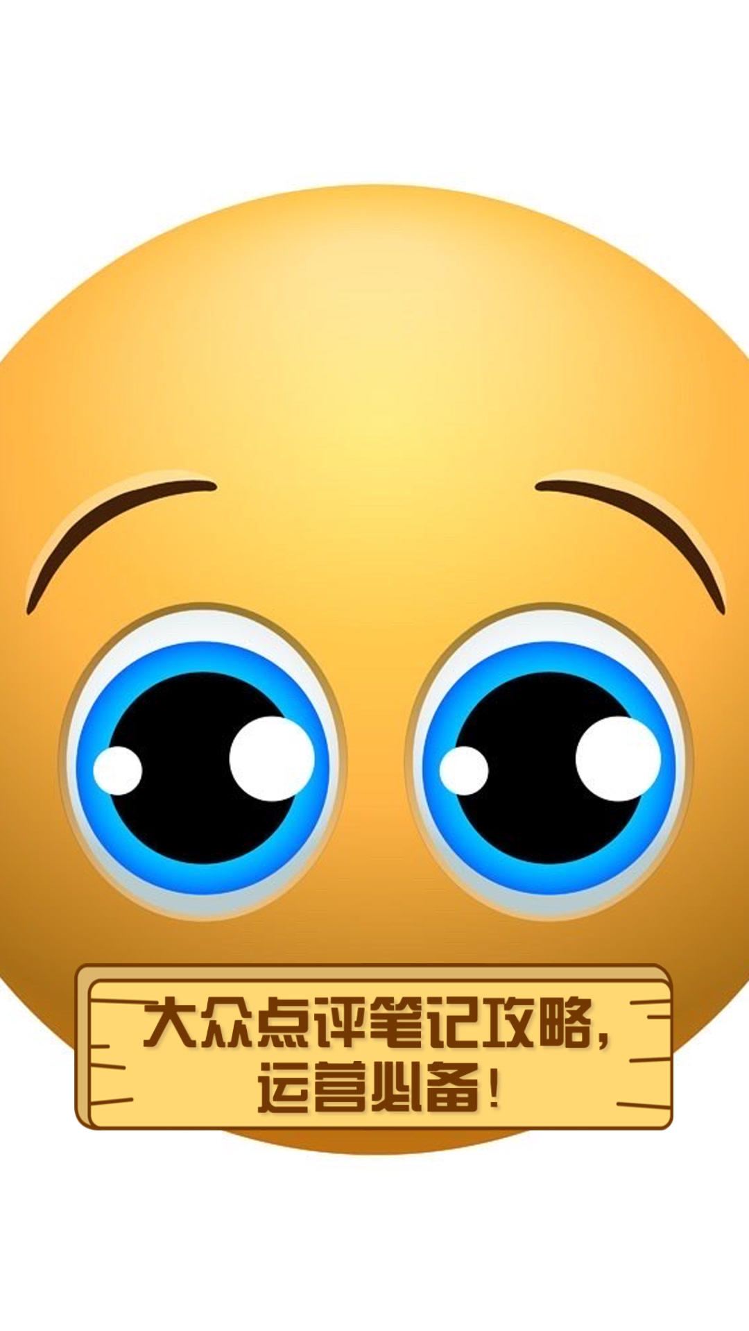 大众点评笔记攻略,运营必备!