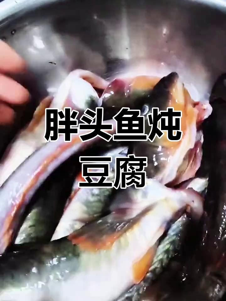 胖头鱼炖豆腐,简单又美味!