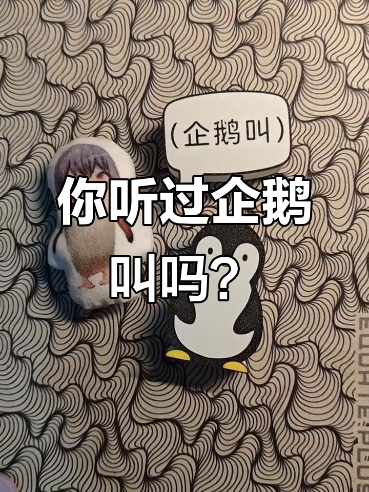 企鹅叫声大揭秘,原来这么有趣!