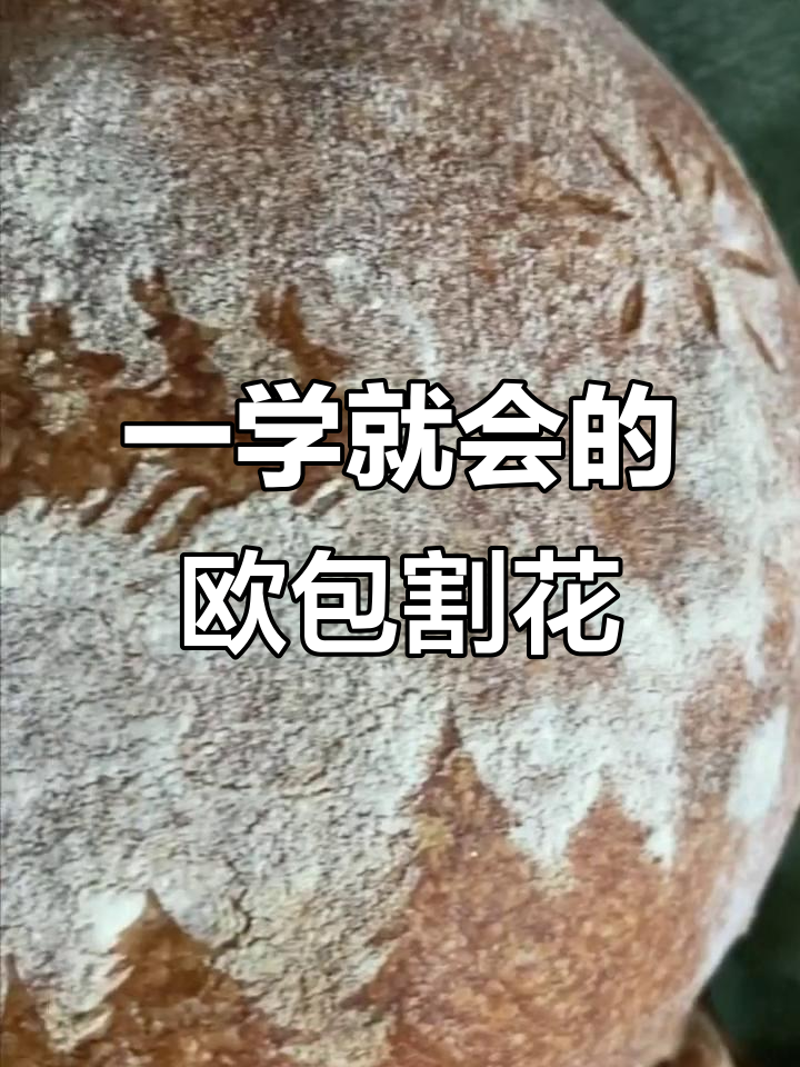 轻松学会欧包割花技巧,圣诞节必备全麦面包制作
