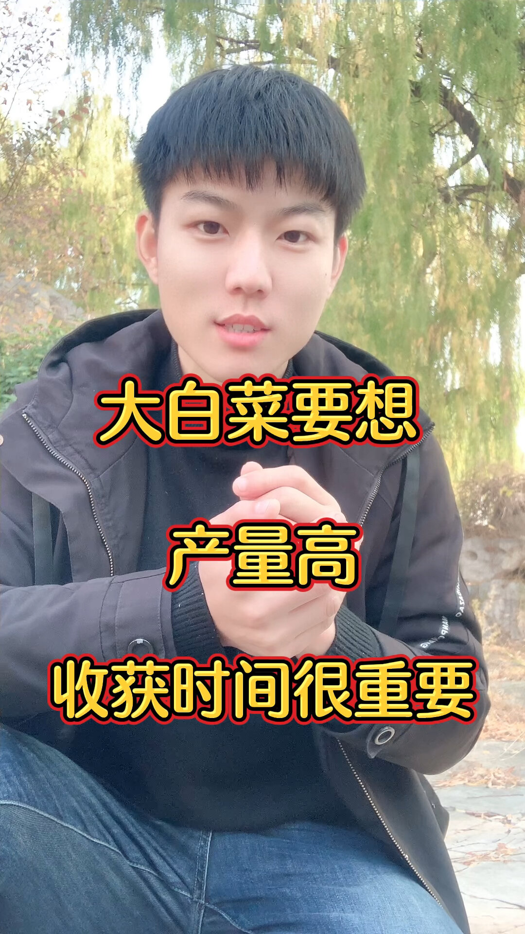 白菜什么时候收货最好