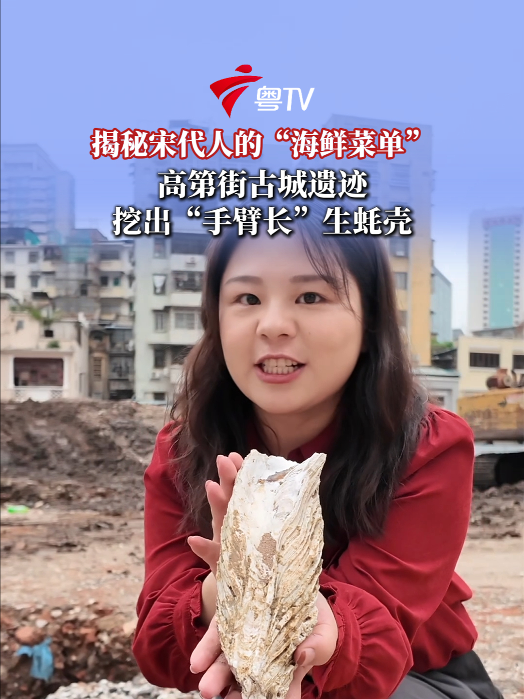 揭秘宋代人的“海鲜菜单”,高第街古城遗迹,挖出“手臂长”生蚝壳