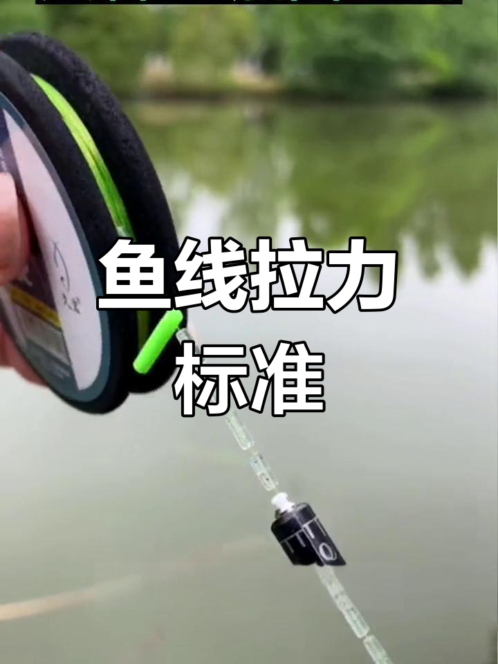 鱼线拉力如何选择?