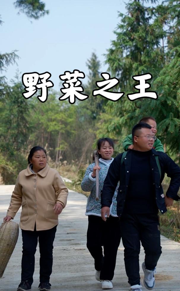 带家人寻找野菜之王,居然发现这么多宝贝,今天运气感爆棚啊!