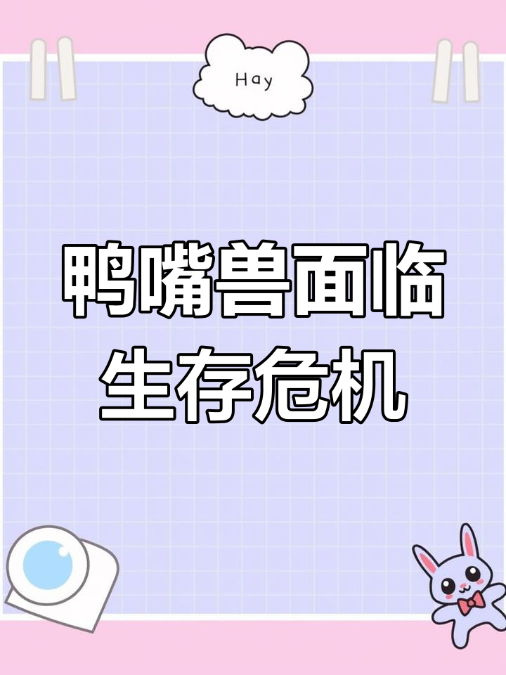 鸭嘴兽濒临灭绝,气候变化致命打击