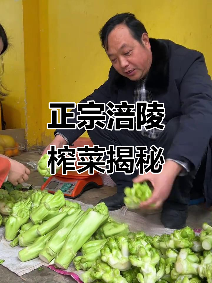 涪陵榨菜与二道菜的真相,原来这才是正宗的!