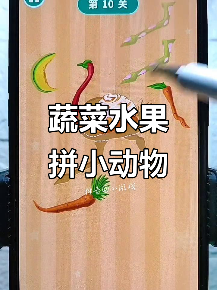 用水果蔬菜拼出可爱小动物,看看你能猜对几只?
