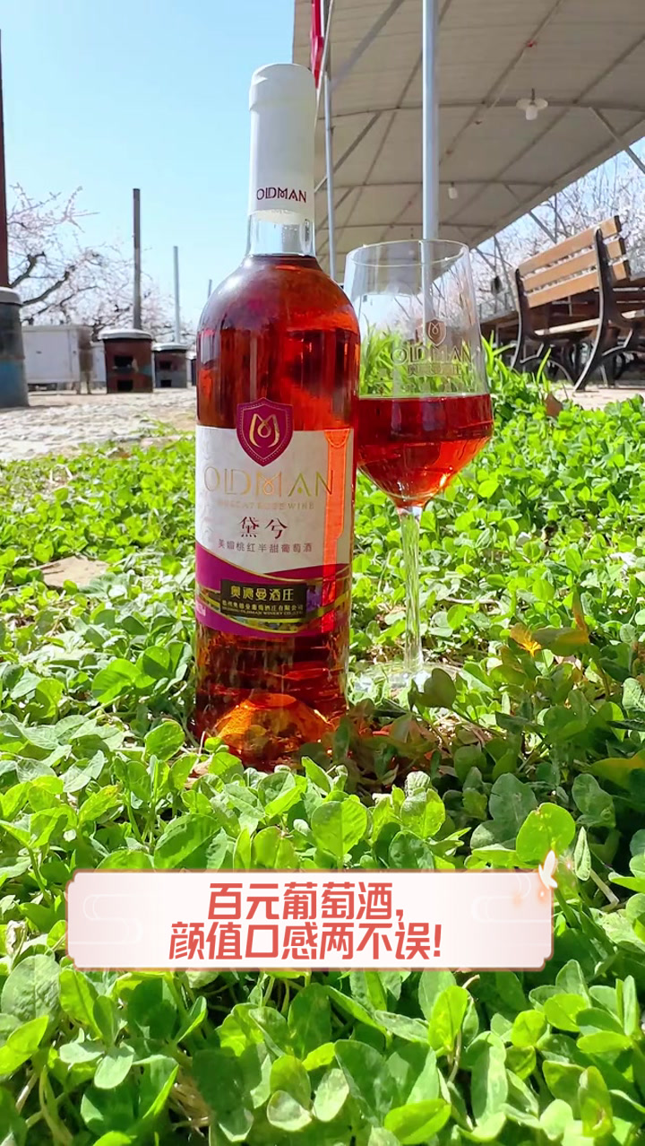 百元葡萄酒,颜值口感两不误!