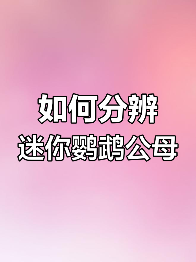 迷你鹦鹉鱼公母分辨技巧,轻松掌握口诀