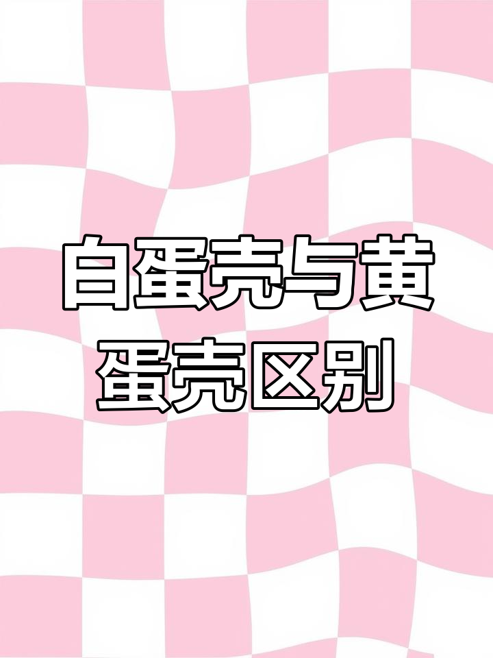 白蛋壳和黄蛋壳,哪种鸡蛋更有营养?真相揭秘