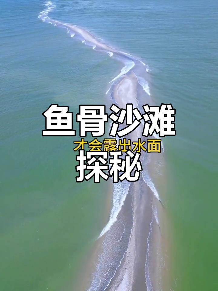 北海神秘鱼骨沙滩,潮汐退后现美景