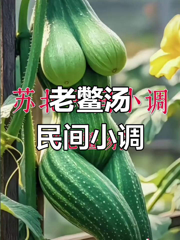 苏北民间小调《老鳖汤》:笑点满满,轻松唱响