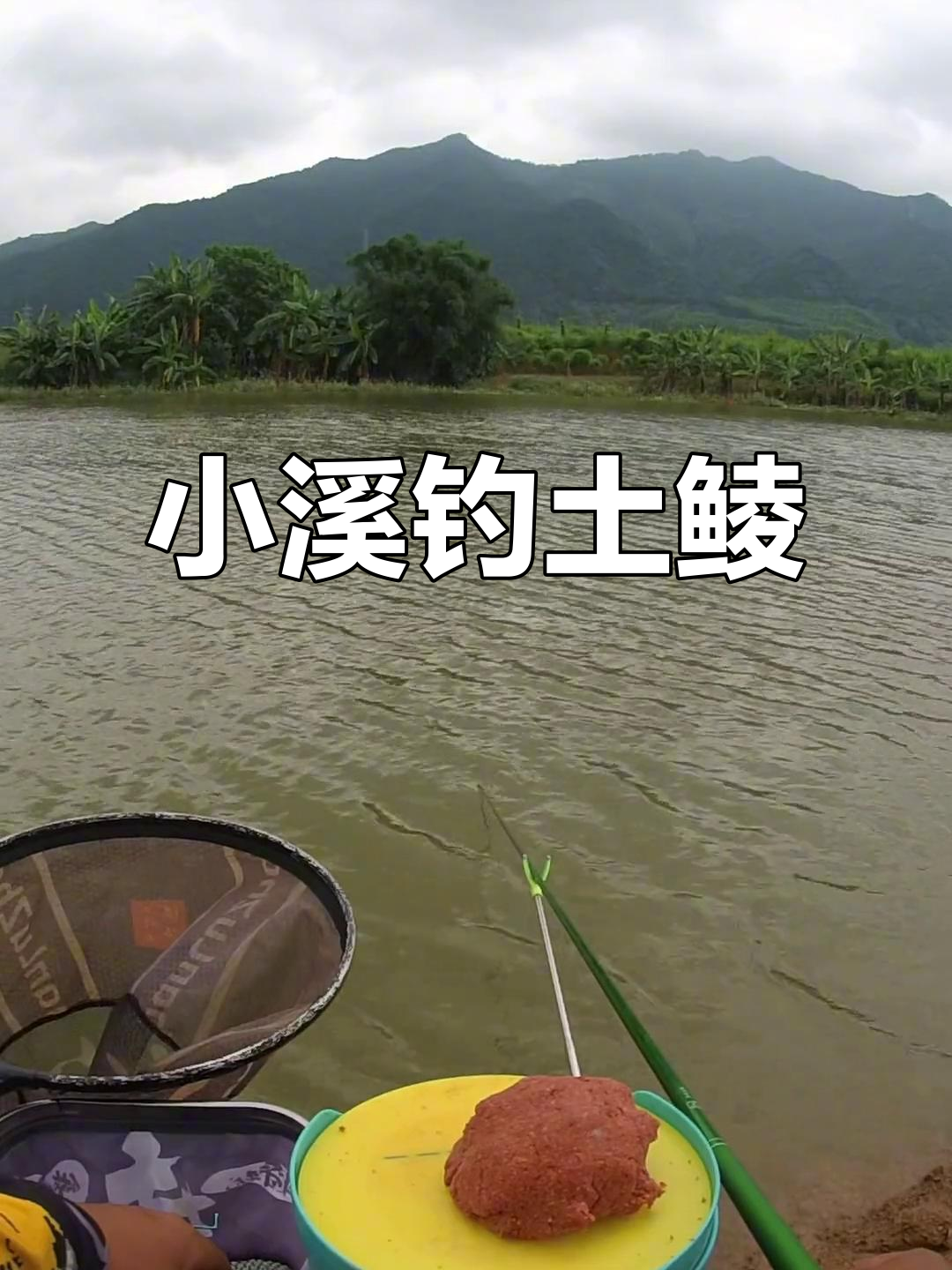 肇庆钓鱼小河沟挑战,土鲮鱼苗虽小但乐趣多