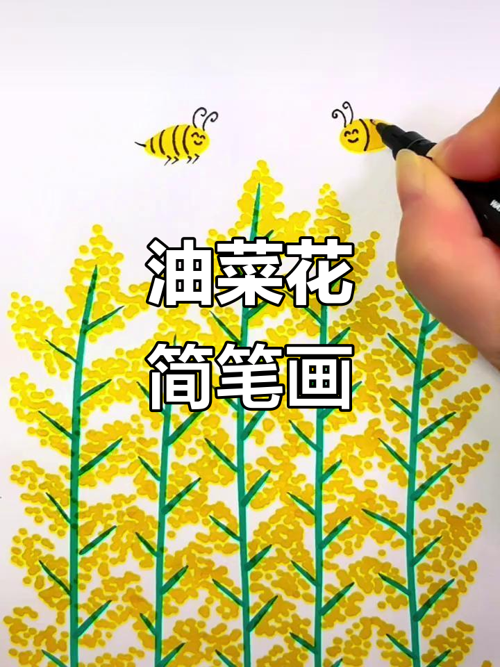 春天油菜花盛开,一起动手画美丽花朵