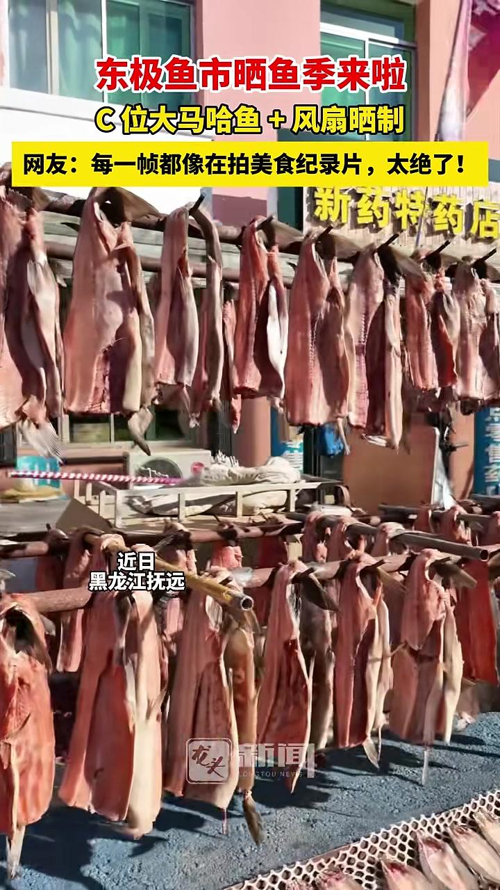 东极鱼市晒鱼季来啦C位大马哈鱼+风扇晒制网友：每一帧都像在拍美食纪录片，太绝了！